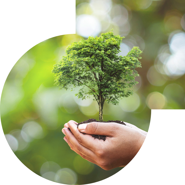 关怀人类、文化、环境与社会